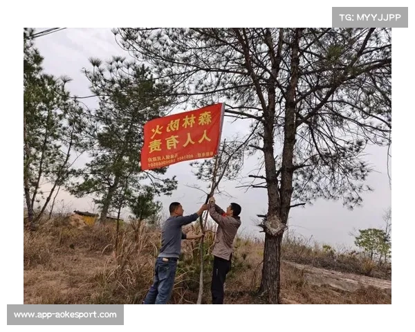 森林防线漏洞频现由攻转守失衡成隐忧本季已丢8球需紧急改进纪律 森林防线漏洞频现由攻转守失衡成隐忧本季已丢8球需紧急改进纪律