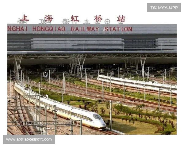 上海站中国军团技术分析：站立进步与地面战术执行效率